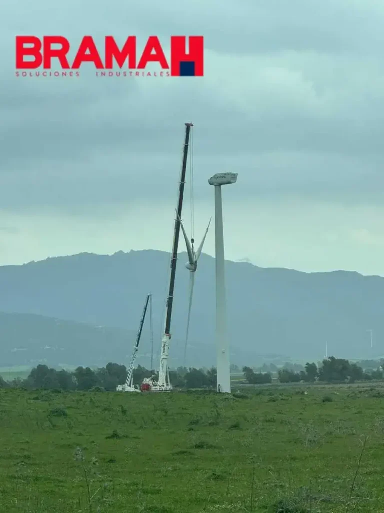 trabajo-en-campo-05